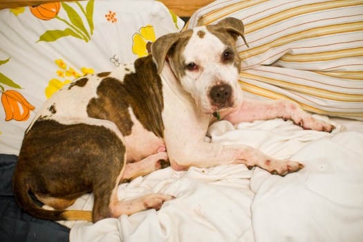 2010 10 Lollie day 5_0010