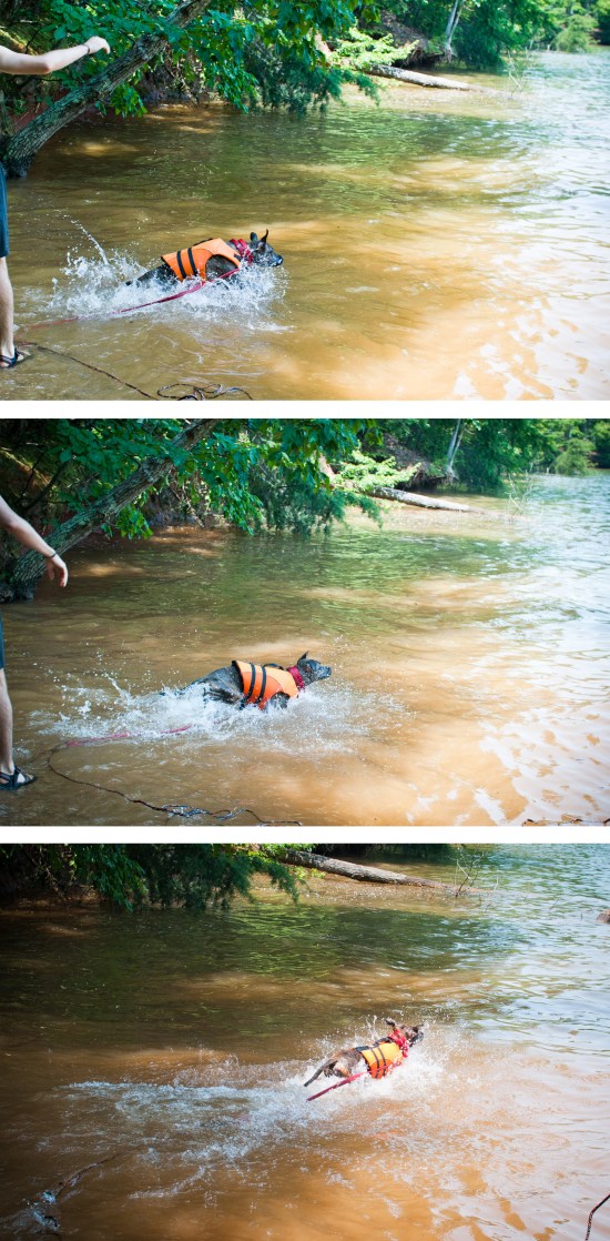 stevie stick swimmer