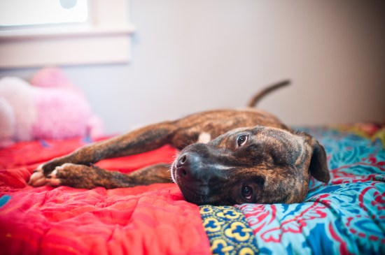 Stevie Wonder-110625-23