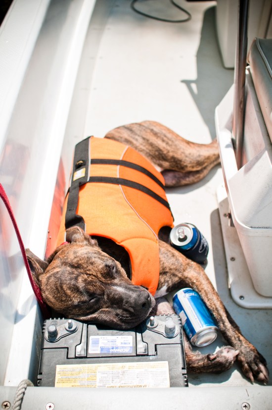 Stevie Wonder-110703-116