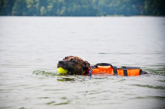 Stevie Wonder-110704-151