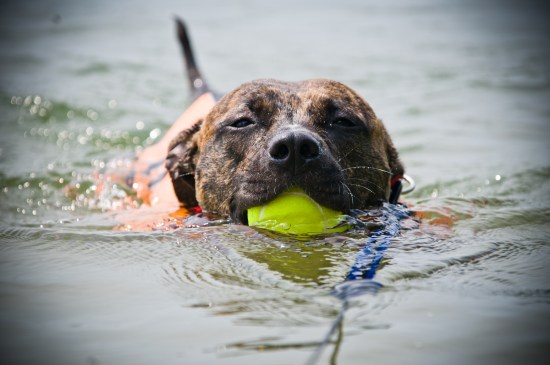 Stevie Wonder-110704-153