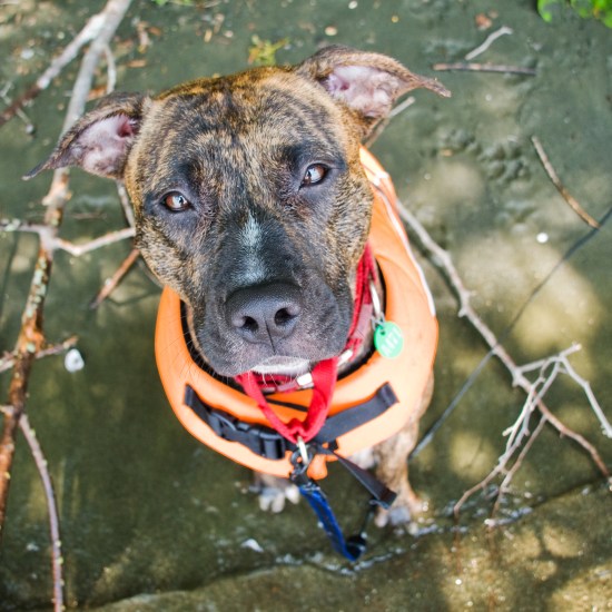 Stevie Wonder-110704-184