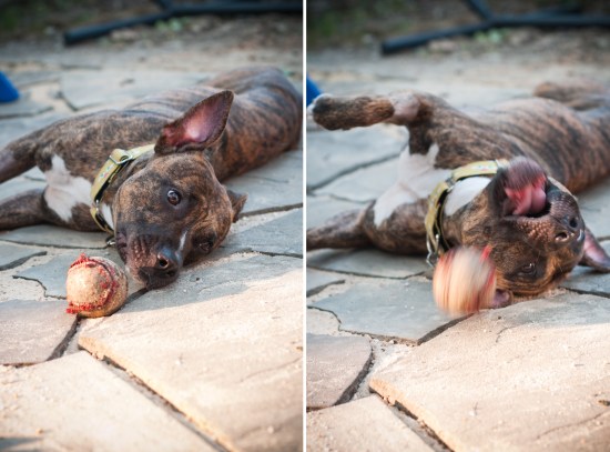 stevie wonder-110711-15 combo