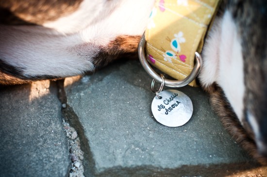 Stevie Wonder-110711-39