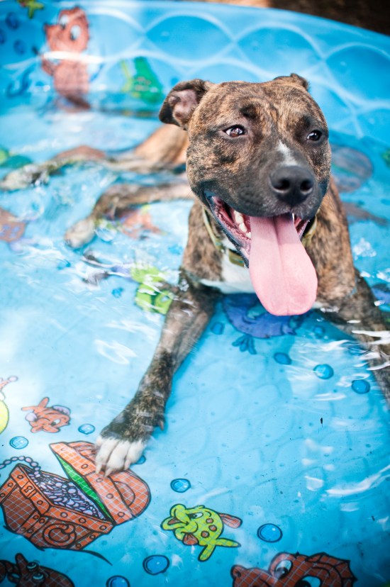 Stevie Wonder-110723-13