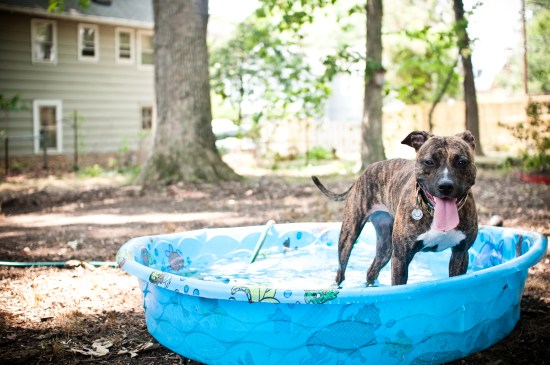 Stevie Wonder-110723-15