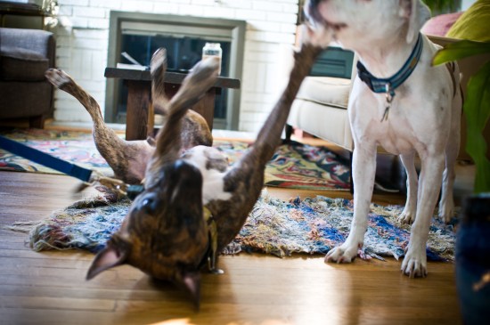 Stevie Wonder-110729-19