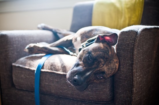 Stevie Wonder-110729-24