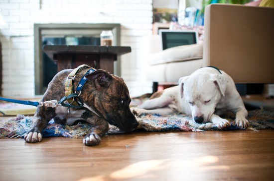 Stevie Wonder-110729-7