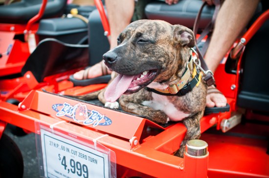 Stevie Wonder-110806-36