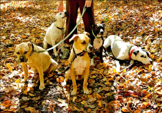 Current pack for blog