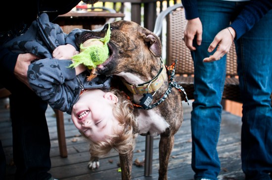 Stevie update-111023-18