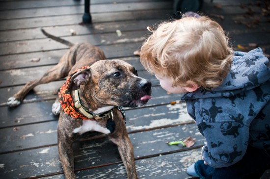 Stevie update-111023-26