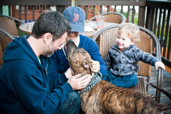 Stevie update-111023-33