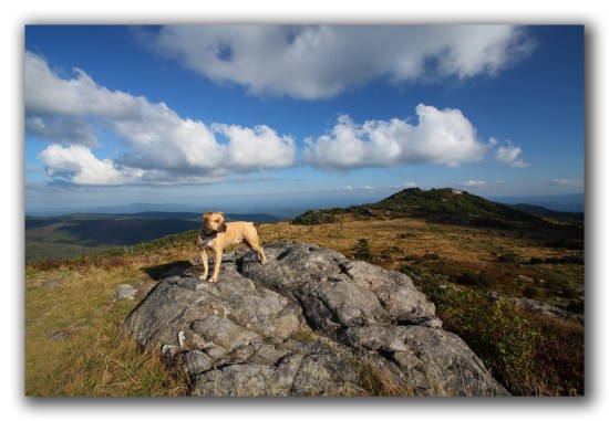 2878505281_e21d5c9916_o