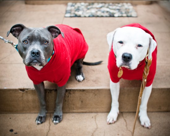 Dora the Explorer-111215-34