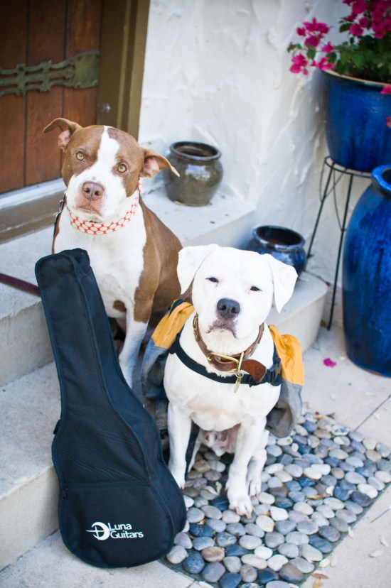 Snickerdoodle-120226-10