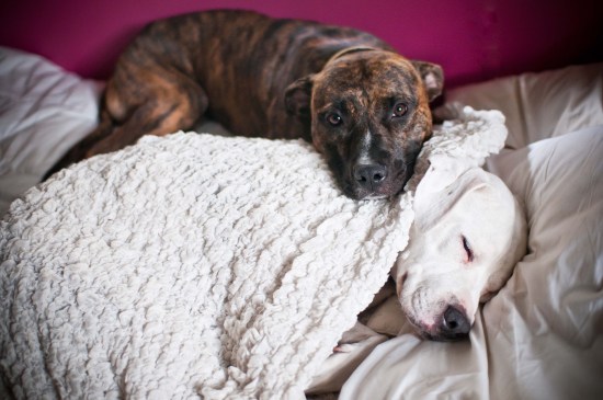 Stevie Wonder-110806-57