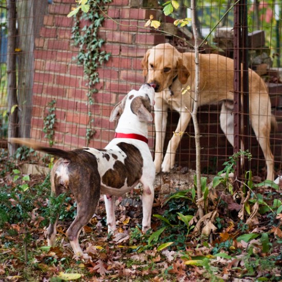 w 2010 10 Lollie day 2_0010