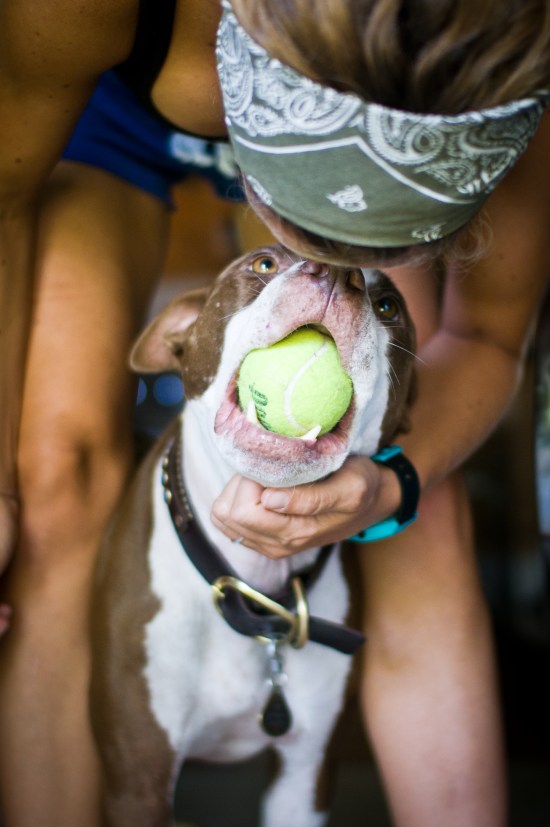 Chickerdoodle-120807-3