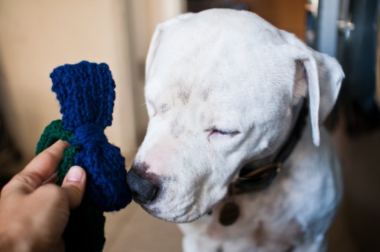 Chickerdoodle-121220-27