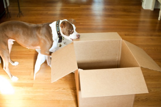 Chickerdoodles-130124-62