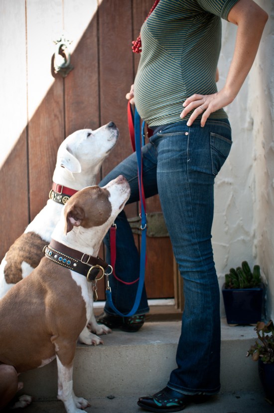 Chickerdoodle-130219-14