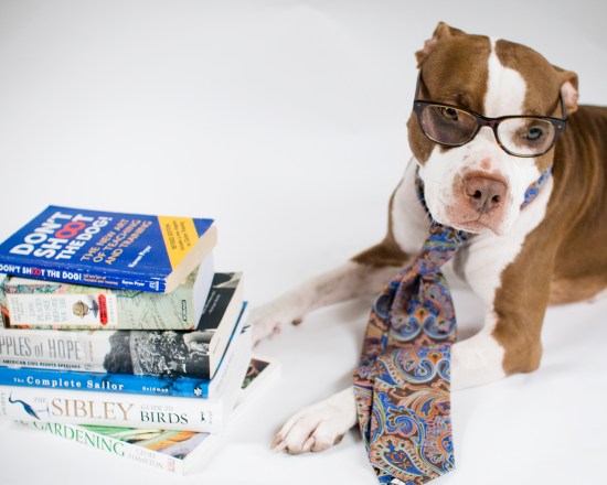 Chickerdoodle-130108-7