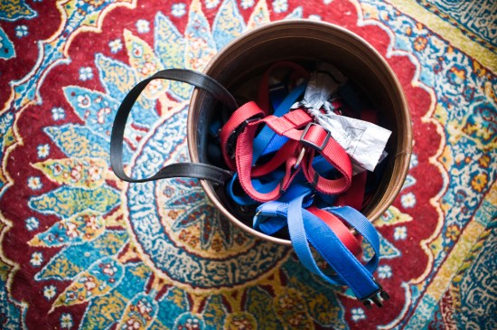 Chickerdoodle-130321-2