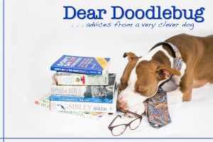 Dear Doodlebug 2