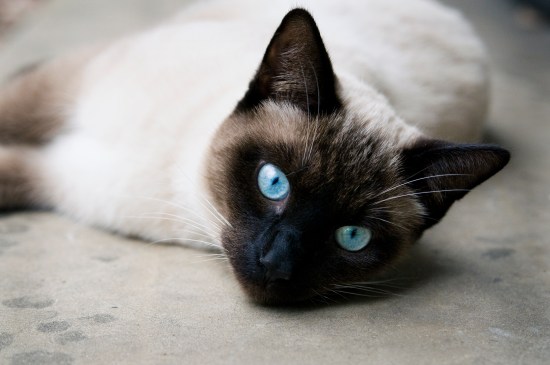 2008 12 NO & BR_0048