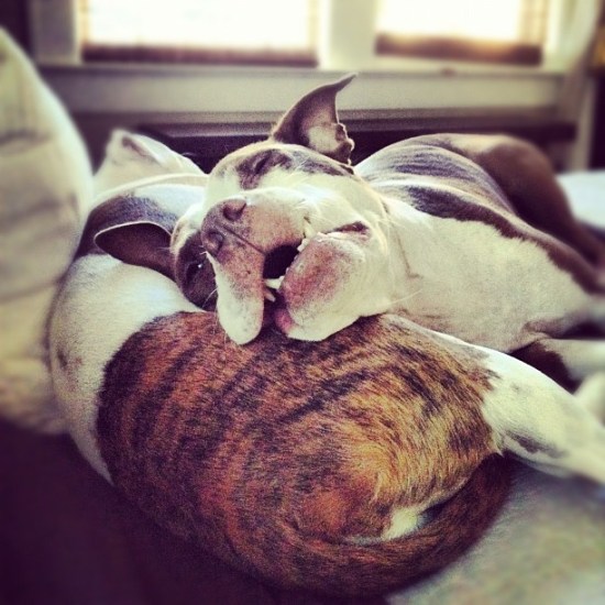 534317_363352563745127_266496655_n