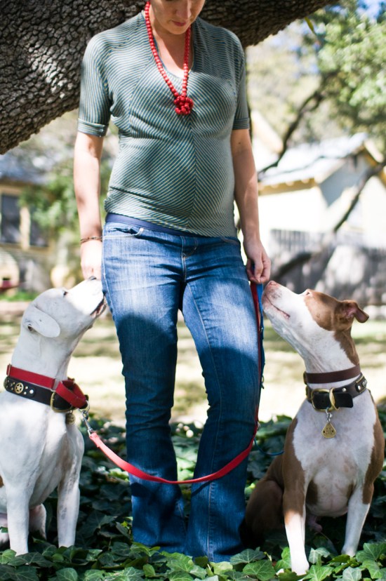 Chickerdoodle-130219-24