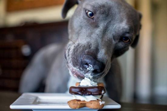 1002067_482156438531405_877298369_n (1)