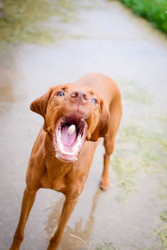 946493_482156255198090_864647898_n