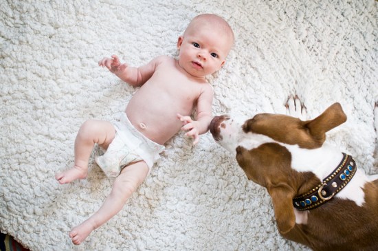 Doodlebug chillin' with his little sister.