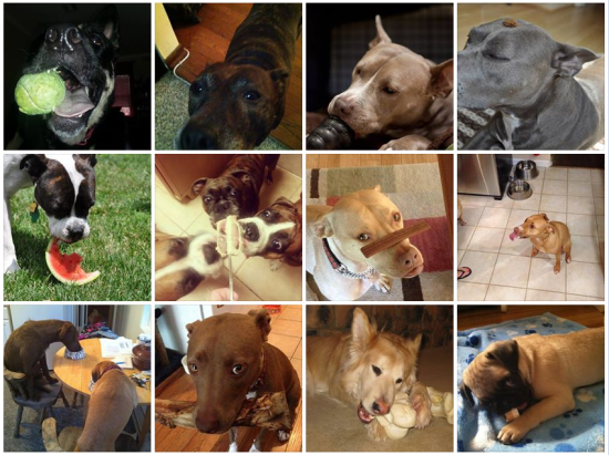 Screen Shot 2013-06-20 at 4.39.49 PM