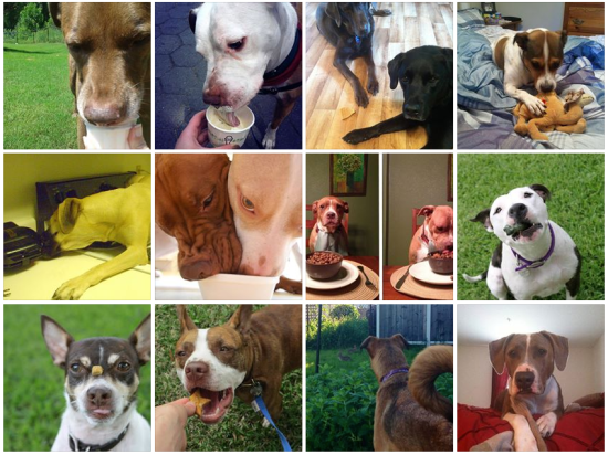 Screen Shot 2013-06-20 at 4.40.09 PM